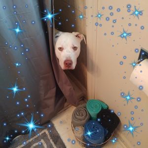 Meet your Posher, Brandy